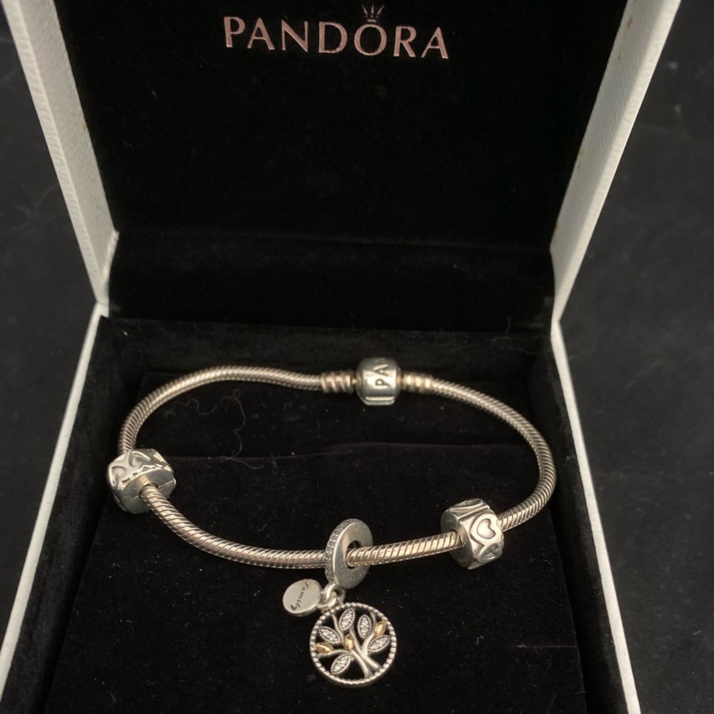 Authentic pandora bracelet and charms